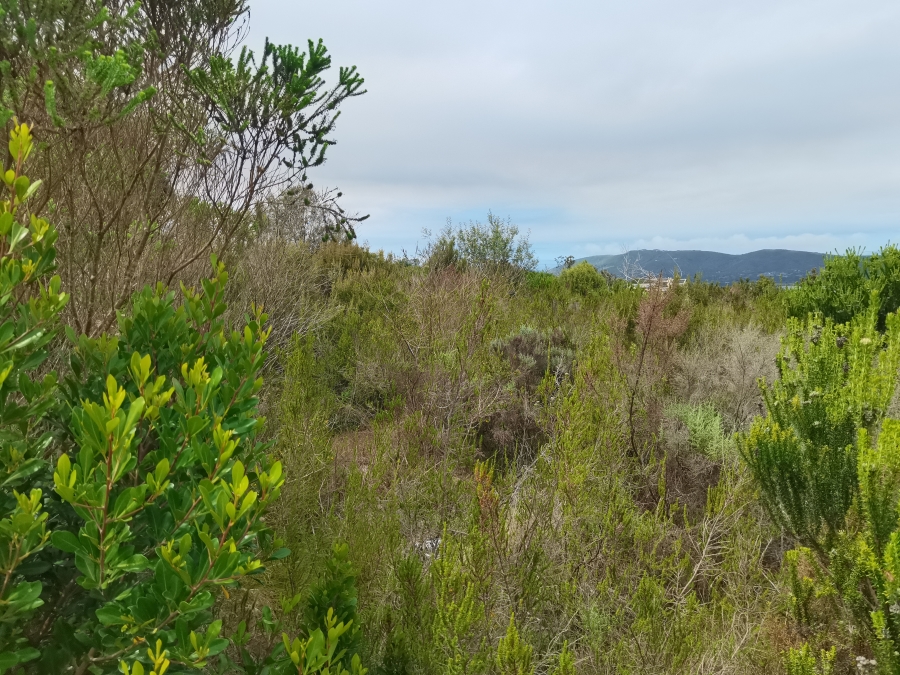 0 Bedroom Property for Sale in Eastford Downs Western Cape